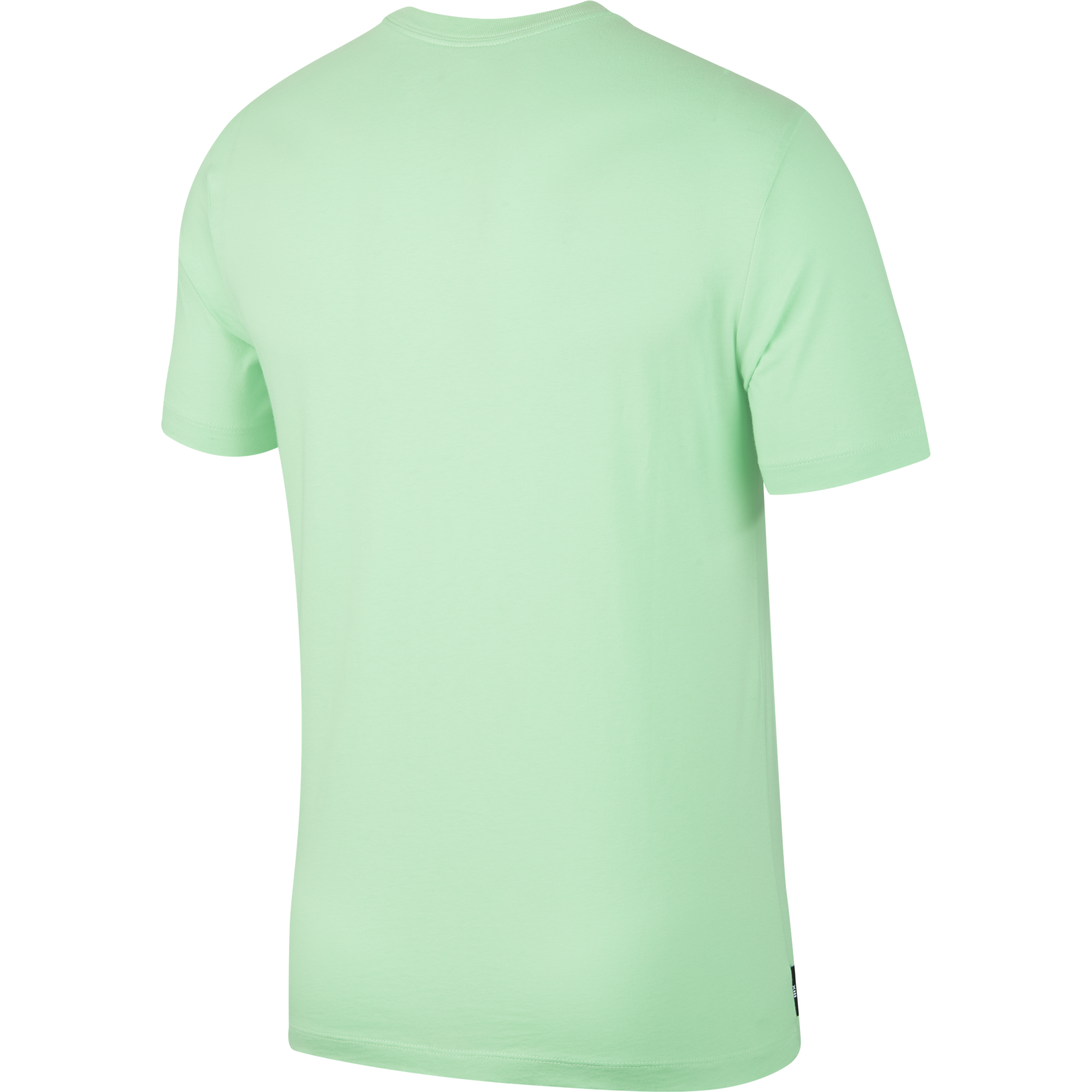 NIKE AIR JORDAN LEGACY AJ13 TEE ILLUSION GREEN